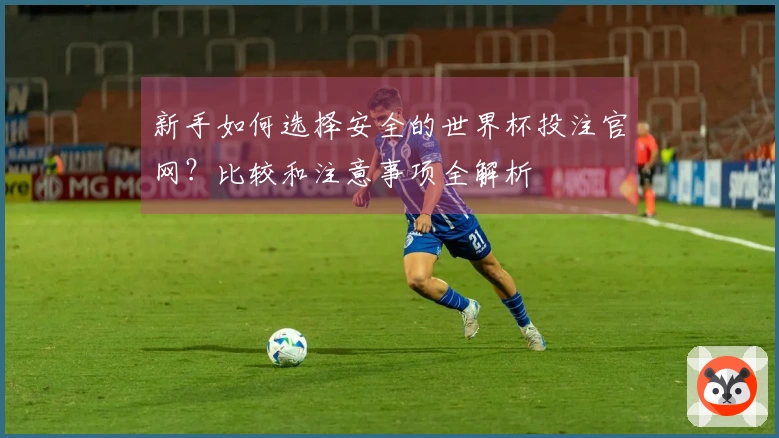 新手如何选择安全的世界杯投注官网？比较和注意事项全解析